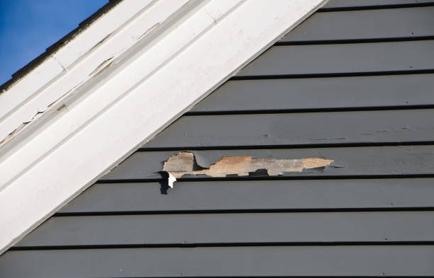 Affordable Siding Repair and Maintenance Services in Ayden, NC