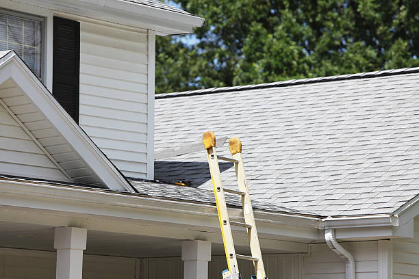 Professional Siding in Ayden, NC